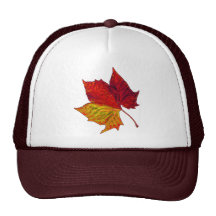 Saturated Sycamore Mesh Hat