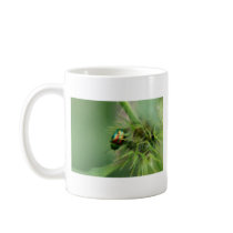 saturation mugs