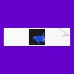 Saturday Blue Orca bumper stickers