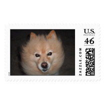Saturn the Dog postage