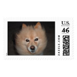 Saturn the Dog postage