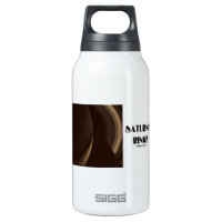 Saturn's Rings (Photo Of Saturn Rings) 10 Oz Insulated SIGG Thermos Water Bottle