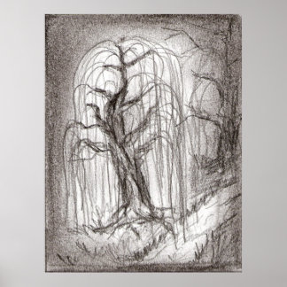 Sauce que llora posters