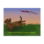 saucer dog post cards