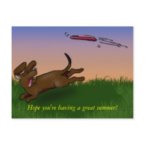 saucer dog postcards