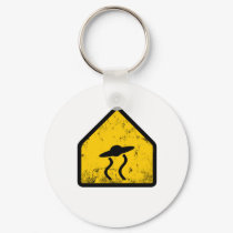saucer xing keychains