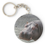 Saucy Hippo! Keychains