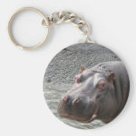 Saucy Hippo! Keychains