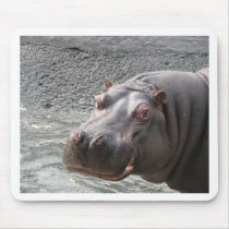 Saucy Hippo! Mouse Pads