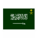 Saudi Arabia Flag Alt shirt