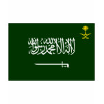 Saudi Arabia Flag Alt t-shirts