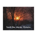 Sault Ste. Marie, Ontario Postcard