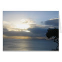 Sausalito cards