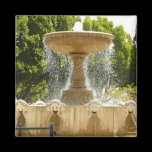 Sausalito Fountain Magnet