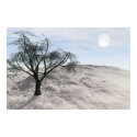 Savage Winter Art Poster posters