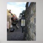 Savannah back street print