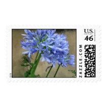 Savannah Flowers Stamps