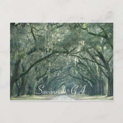 Savannah, GA Postcard