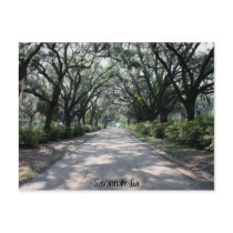 Savannah, Ga Postcard
