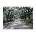 Savannah, Ga Postcard