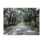 Savannah, Ga Postcard