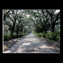 Savannah, Ga Postcard postcards