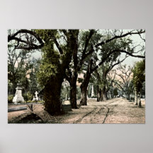 Savannah, Georgia Bonaventure Cemetery Poster