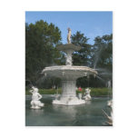 Savannah Georgia Forsyth Fountain Postcards