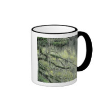 Savannah, Georgia, Live Oak tree draped with Coffee Mugs