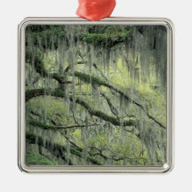 Savannah, Georgia, Live Oak tree draped with Christmas Tree Ornament
