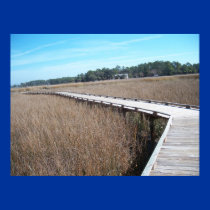 Savannah Georgia Tybee Island Path Trail Poster GA posters