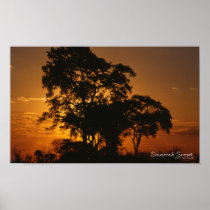 Savannah Sunset Poster