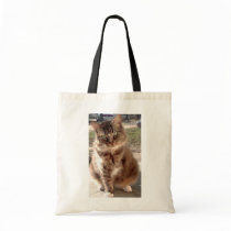 Save a cat, Save the planet Canvas Bag