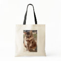 Save a cat, Save the planet bags