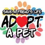 Save A Friend Adopt A Pet Photo Cut Outs