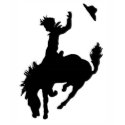 Save a Horse, t-shirts by PenguinPose Save a Horse, t-shirts