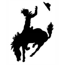 Save a Horse, t-shirts