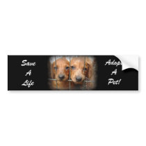 Save A Life Adopt A Pet Bumper Sticker bumper stickers