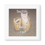 Save A Life Adopt A Pet magnets