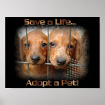 Save a Life Adopt a Pet poster