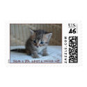 Save a life, adopt a rescue cat postage