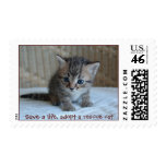 Save a life, adopt a rescue cat postage stamp