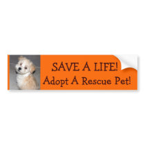 SAVE A LIFE!, Adopt A Rescue .Pet!.. bumper stickers by patsarts SAVE A LIFE!, Adopt A Rescue .Pet!.. bumper stickers