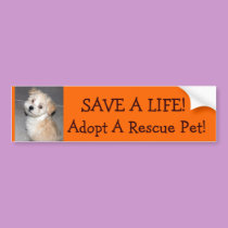 SAVE A LIFE!, Adopt A Rescue .Pet!.. bumper stickers