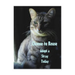 Save A Life! Adopt A Shelter Pet! Postcard