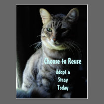 Save A Life! Adopt A Shelter Pet! postcards