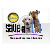 SAVE A LIFE - ADOPT - RESCUE ANIMALS - BE A FRIEND POSTCARDS