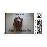 Save A Life - Animal Rescue Stamps