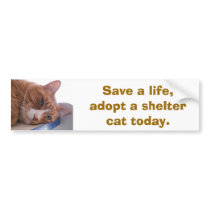 Save a life bumper stickers by okcshelter Save a life bumper stickers