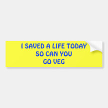 SAVE A LIFE TODAY BUMPER STICKER